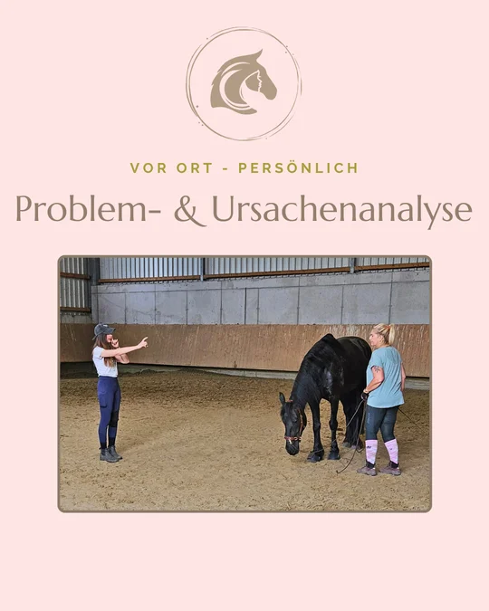 Problem- und Ursachenanalyse vor Ort – Carolin Gerhartz mit einer Kundin und ihrem Pferd in der Reithalle