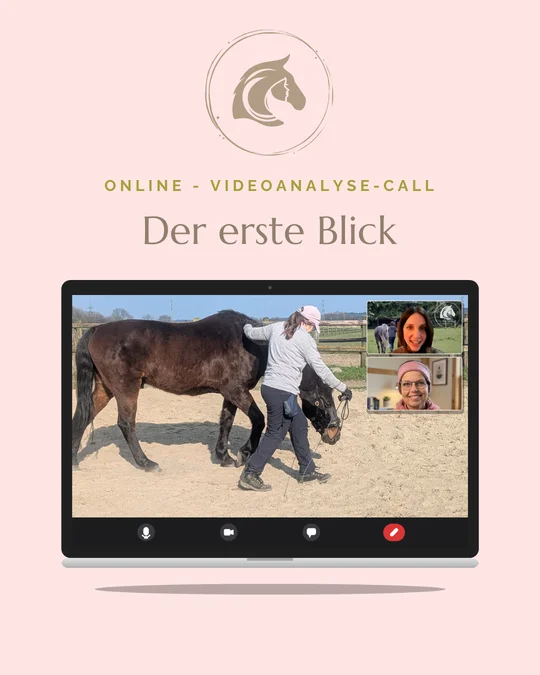 Der erste Blick – Online-Videoanalyse-Call, Laptop-Ansicht mit Trainingsfoto und Video-Call-Kacheln