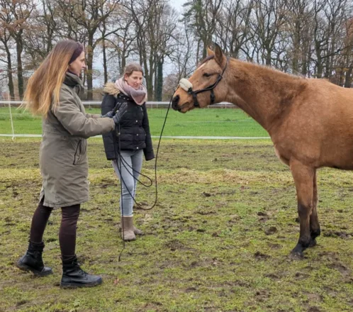 Carolin Gerhartz übt Raumarbeit mit einer Kundin und ihrem Pferd