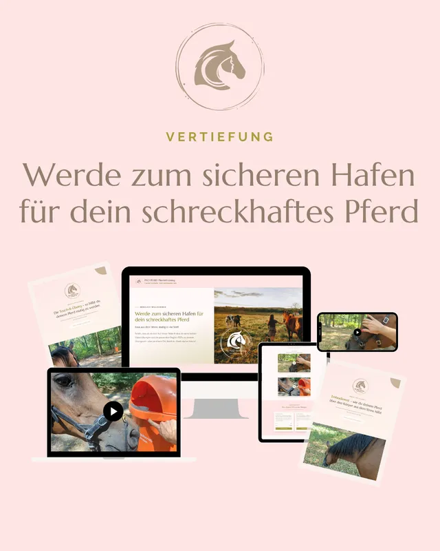 Werde zum sicheren Hafen für dein schreckhaftes Pferd